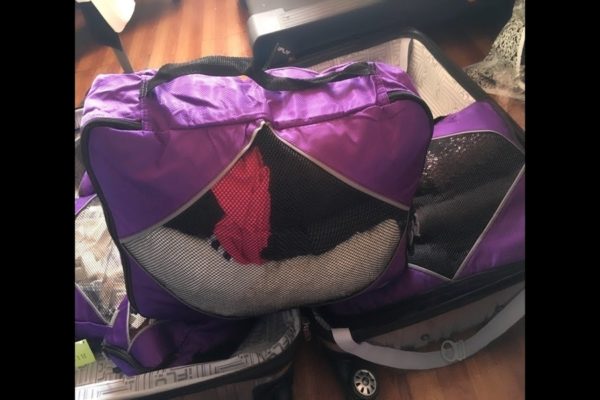 G4Free packing cubes review