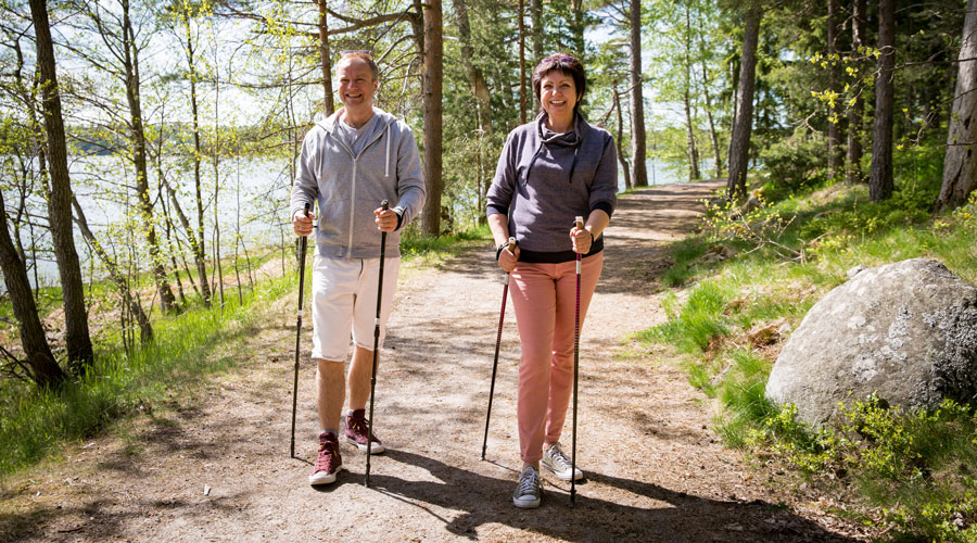 benefits of nordic walking