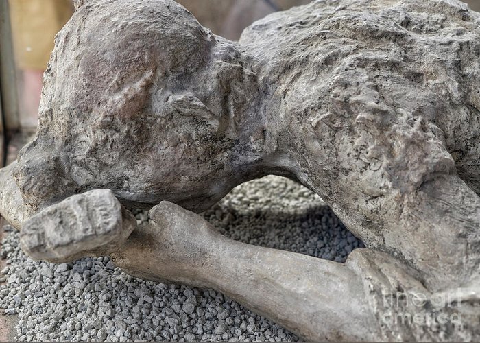 human remains at pompeii